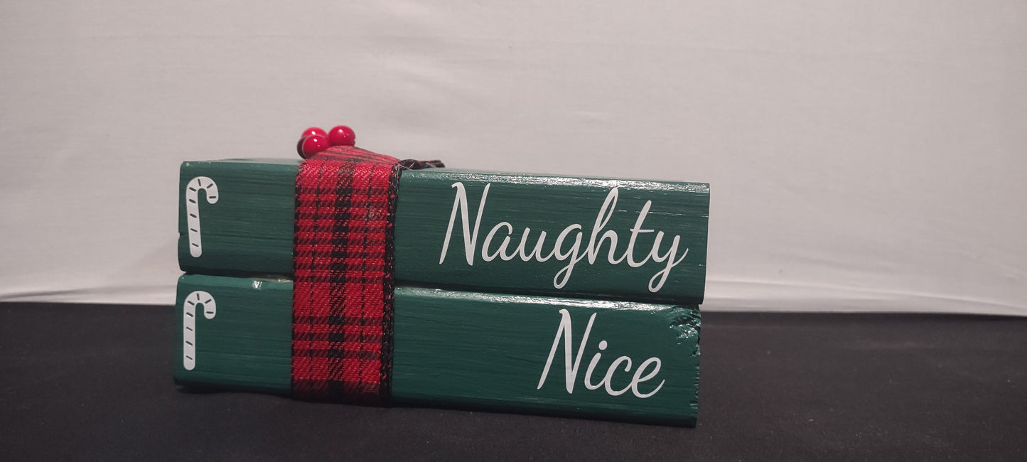 Christmas Book (Naughty, Nice)