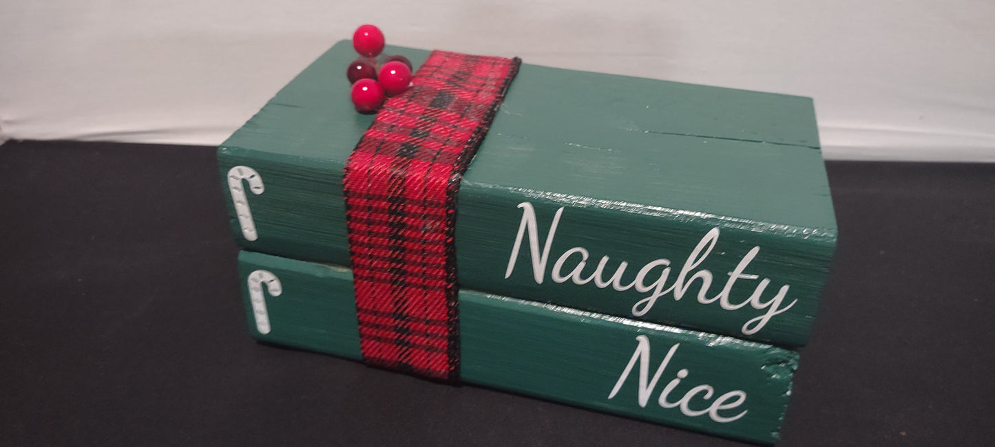 Christmas Book (Naughty, Nice)